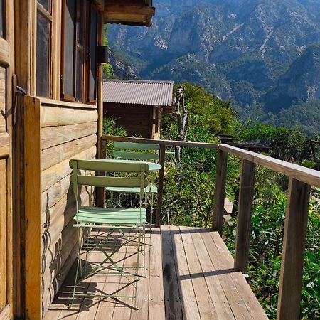 Olive Garden Kabak Faralya Exterior foto